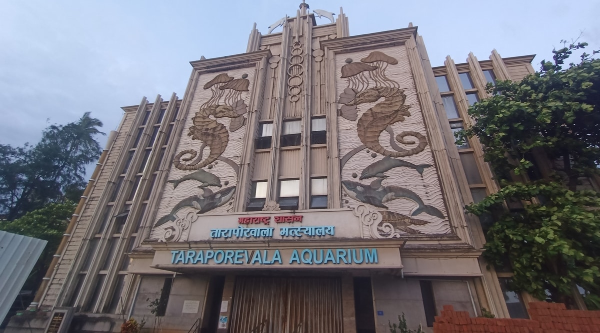 Taraporewala aquarium hot sale