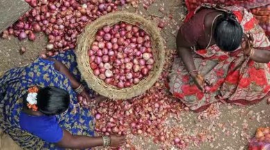 nashik onion traders