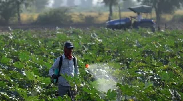 After floods, pest attack: For paddy farmers, struggle far from over ...