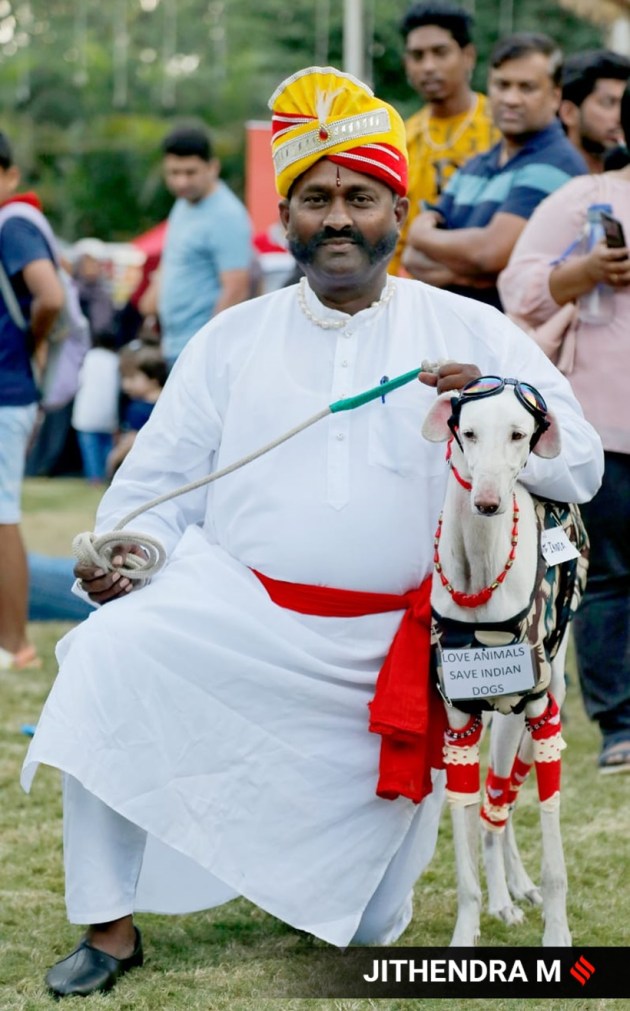 championship cat show bengaluru