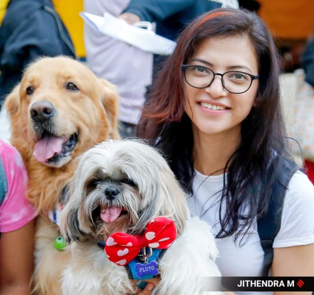 championship cat show bengaluru
