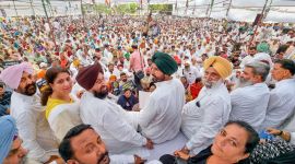 punjab aap punjab aap