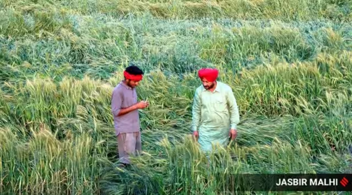 To Question Political Parties Farmers In Abohar To Hold Kisan Sansad On October