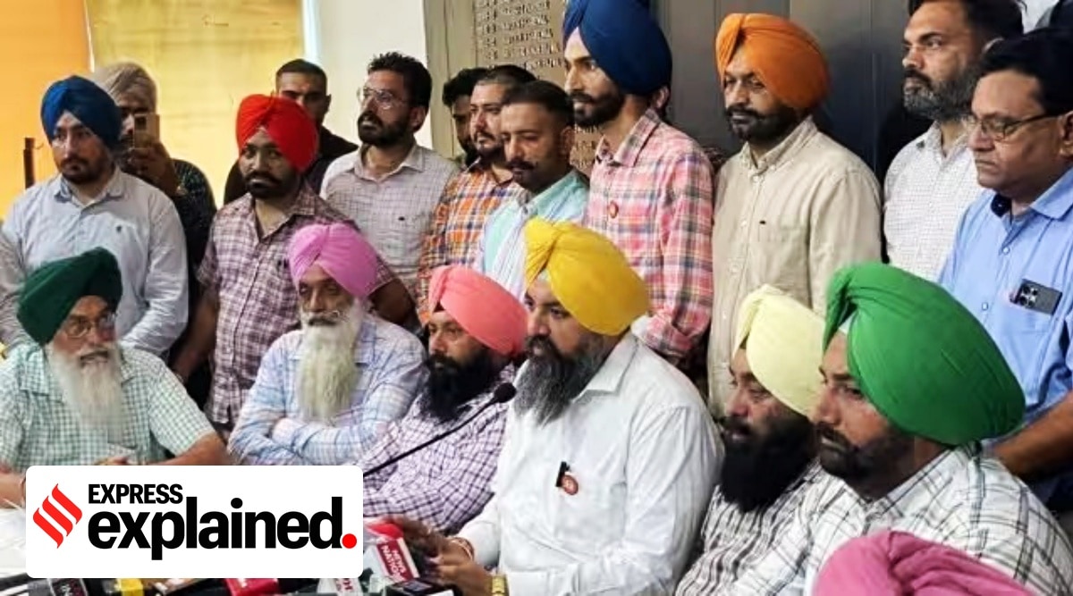 Behind the pendown strike call in Punjab, the arrest of a patwari and kanungo in a 2018 case