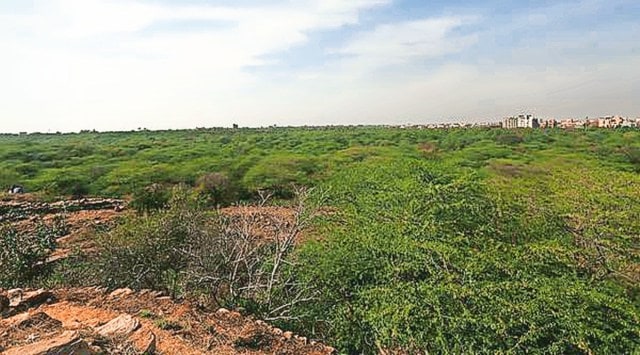 Delhi Preservation of Trees Act (DPTA), delhi Forest Department, delhi eco-restoration, delhi news, India news, Indian express, Indian express India news, Indian express India