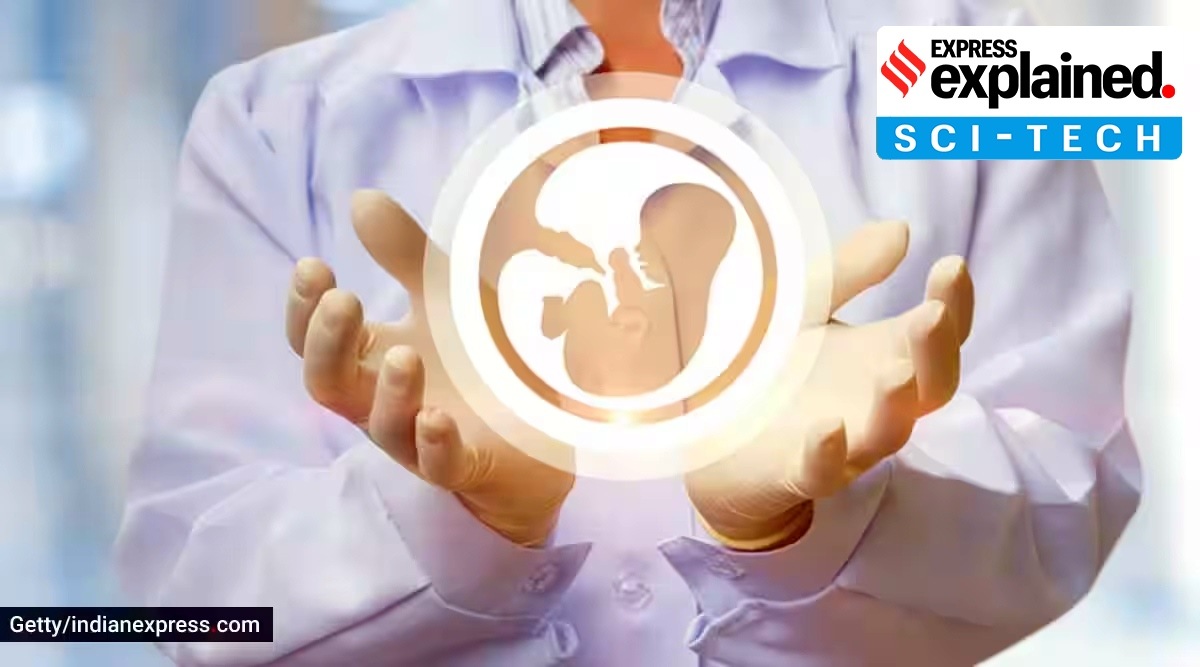 Without sperm or egg, how scientists grew whole model of human embryo