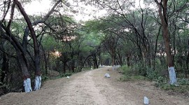 sukhna wildlife sanctuary, trek, chandigarh news, wildlife week 2023, indian express