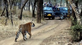 G20 Summit, G20 week, Long weekend, Booking websites, surge in reservations, trip planning, indian express news