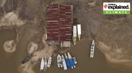 Amazon rainforest drought