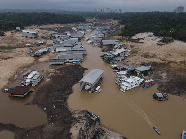 Severe drought grips the  rainforest