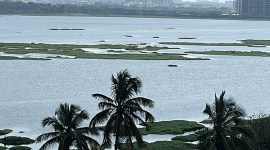 Bengaluru lakes Bengaluru lakes