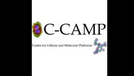 C Camp Sepsis bengaluru