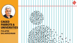 Academic freedom, debate on academic freedom, academic freedom in Indian Universities, public spending per student, student teacher ratio, Indian languages, higher learning and research, UNESCO data, primary education, higher education, indian express, indian express news
