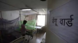 DELHI Dengue, DELHI Dengue cases, Gurgaon dengue telly, dengue death toll, Gurgaon breached 200-mark, health department, DENV 2 strain, dengue virus, indian express news