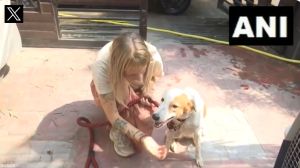 Dutch woman on tourist visa to India stays back 6 months to take back street dog she fell in love with