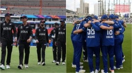 Cricket World Cup 2023