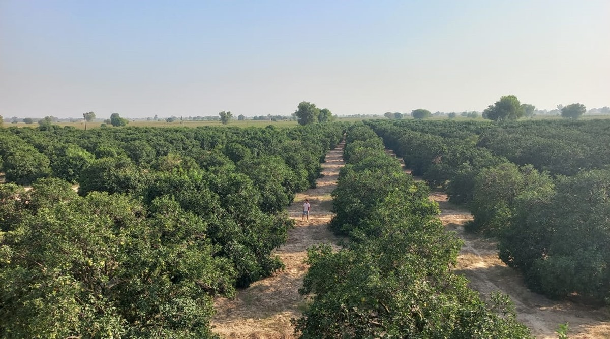 Changemaker: This technique used by a Punjab farmer helps stop stubble ...