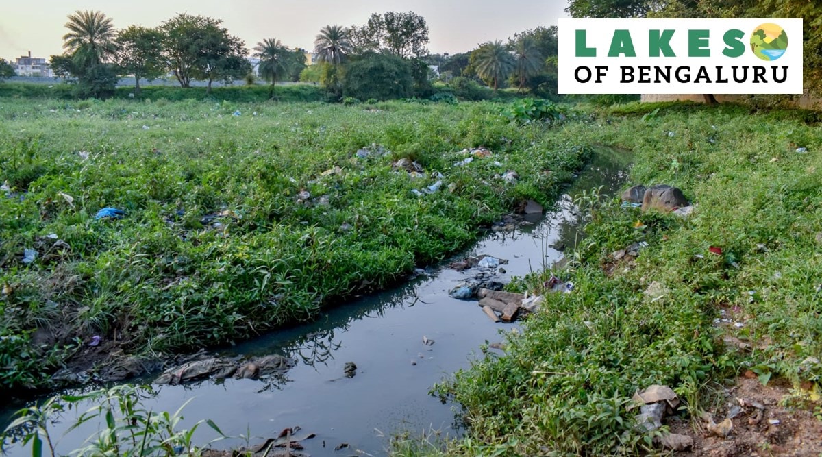 Lakes of Bengaluru Kenchanahalli Lake in RR Nagar zone turns into an