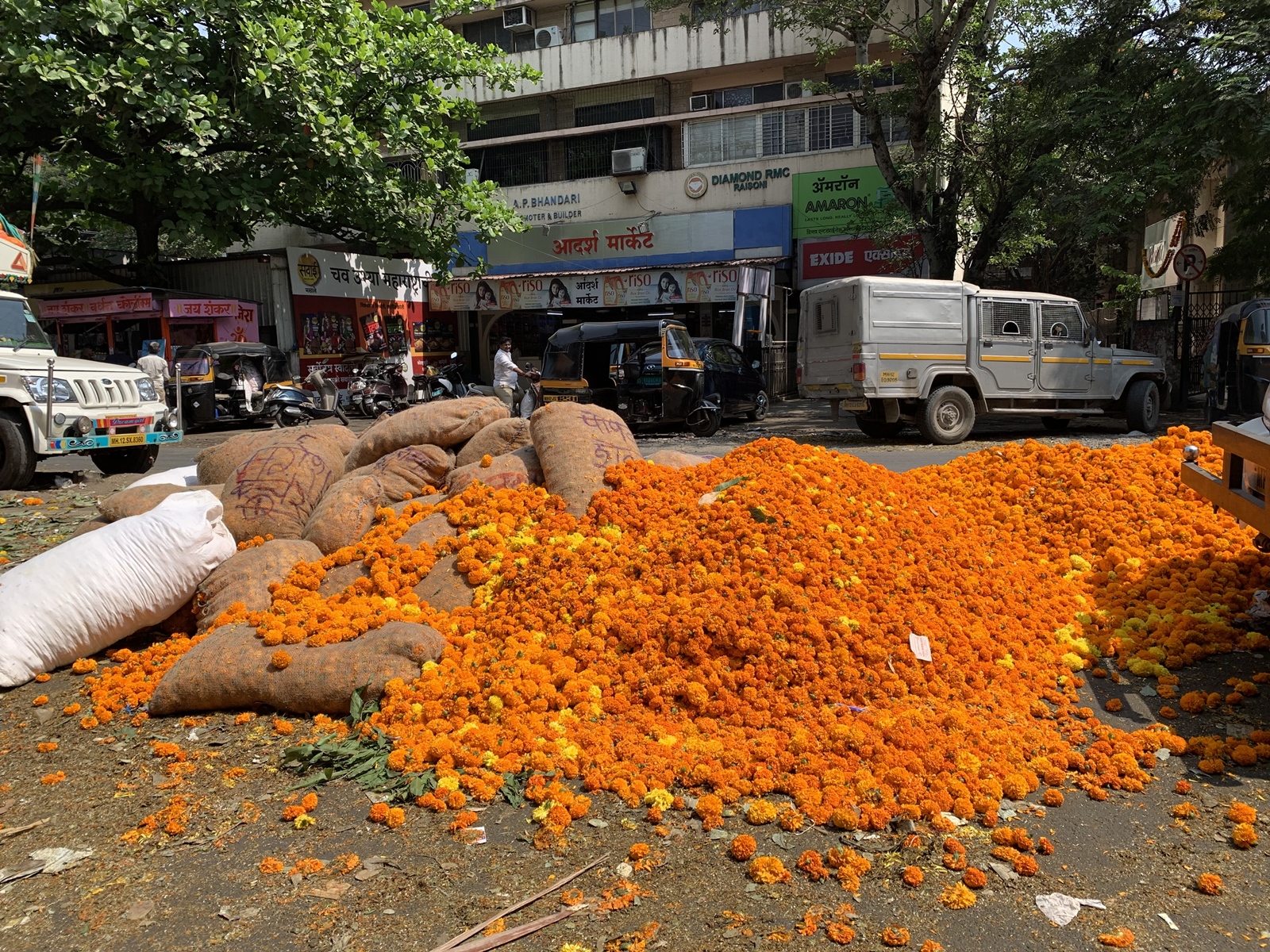 Marigold bloomed but market slumped Farmers abandon huge stock of