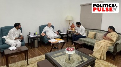 Nara Lokesh Amit Shah meet