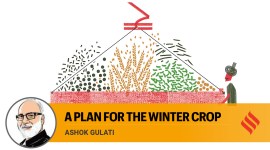 Wheat production, Russia-Ukraine war, MSP, Indian monsoon, average rain in India, normal rainfall in India, what is temporal spread, paddy sugarcane crops, price inflation, indian express news