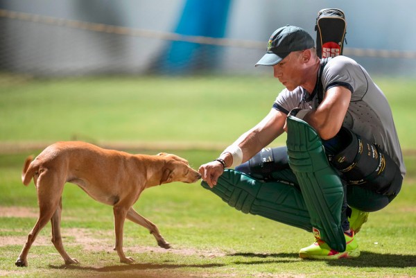 ODI World Cup 2023: van der Dussen and dog