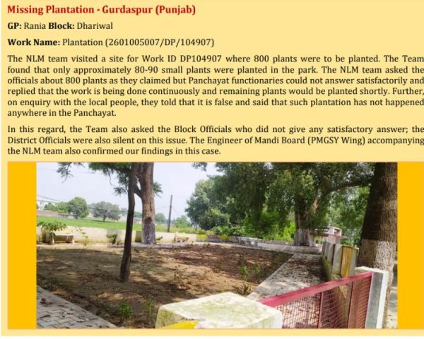 Punjab report