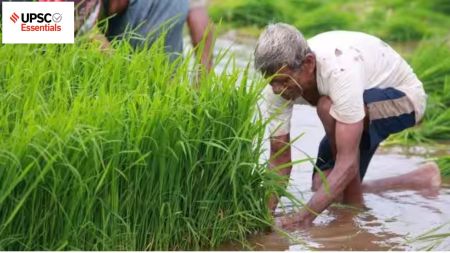 UPSC Daily subject-wise quiz : Economy (Week 28)