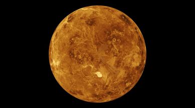 The northern hemisphere of Venus as seen by NASA's Magellan spacecraft.