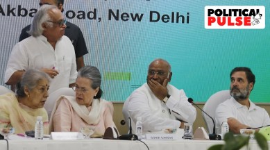 congress, cwc meet, sonia gandhi, rahul gandhi, kharge, jairam ramesh