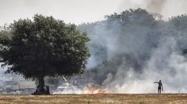 According to the CAQM, out of 22 districts in Haryana, farm fires were nil or minimal in 9 districts in 2022. (File/ Express Photo by Nirmal Harindran)