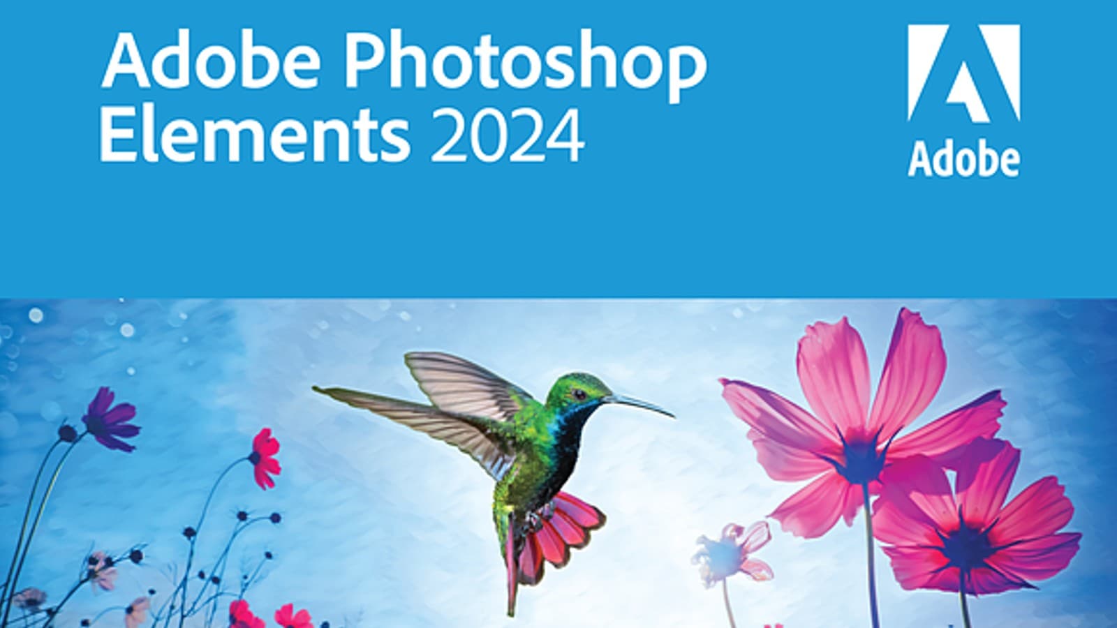Photoshop Elements