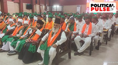 BJP Sufi Minority Outreach