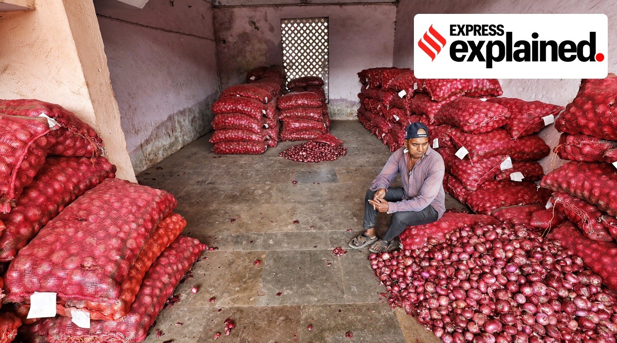 A trader sitting next to stock of onions at APMC wholesale market in Ahmedabad in March 2023.