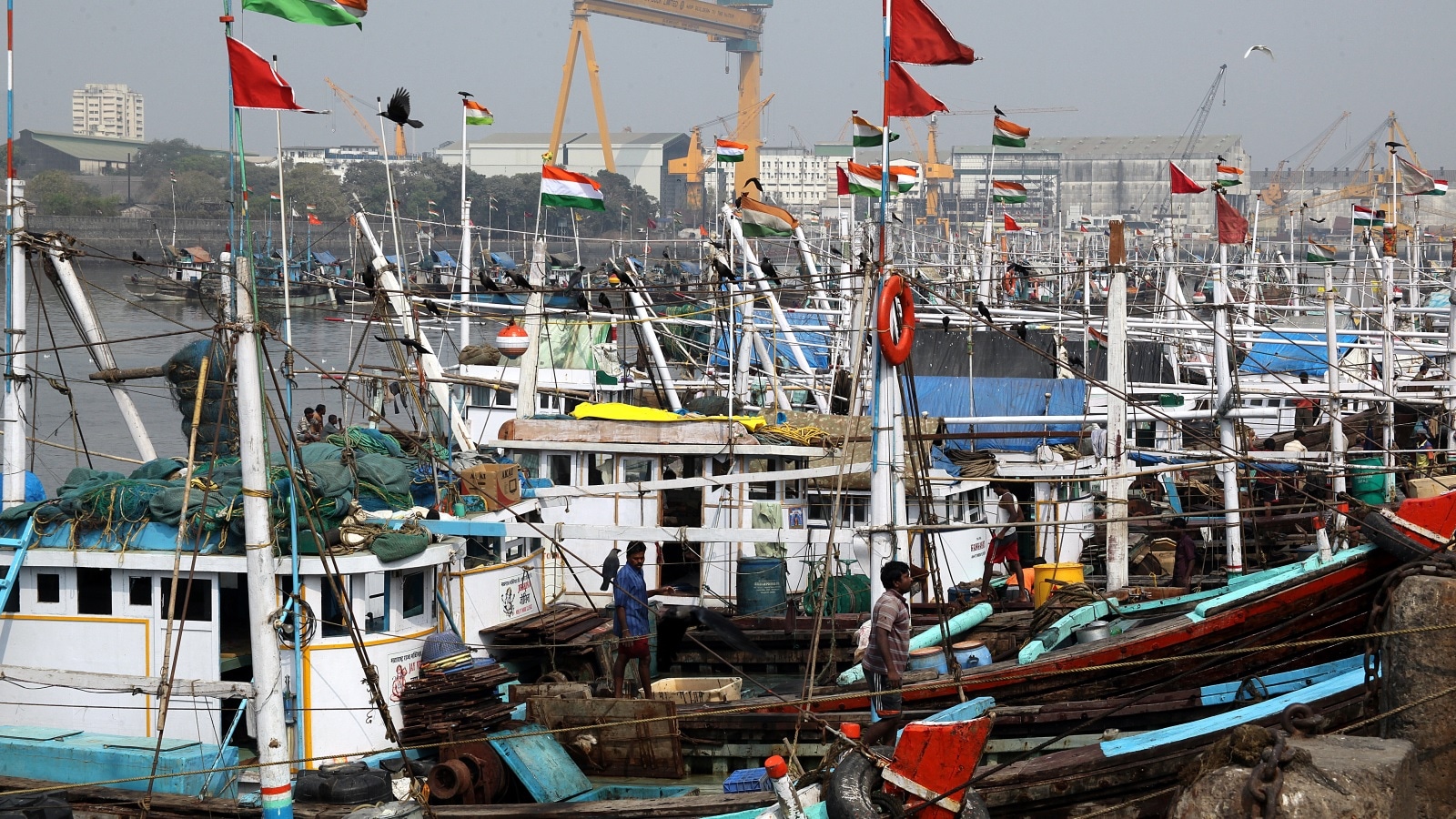 Mumbai Port initiates revamp of Bhaucha Dhakka fishing terminal in