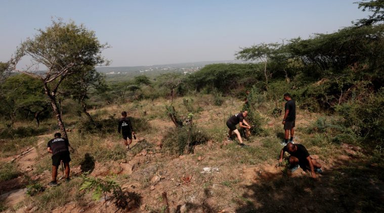 NSG campus manesar, invasive plant species