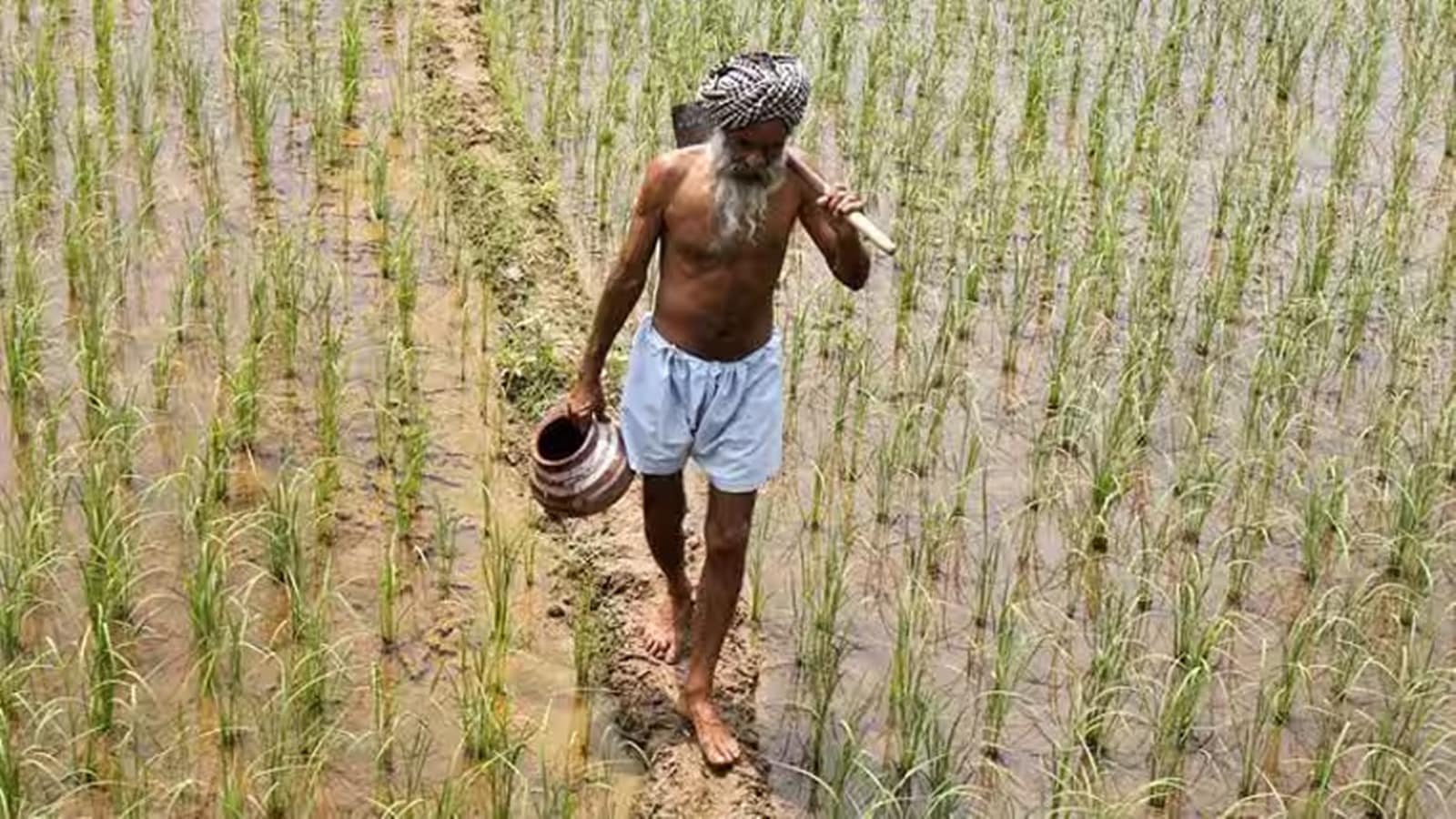 Conduct digital crop survey from July 2024: Centre to states | India ...