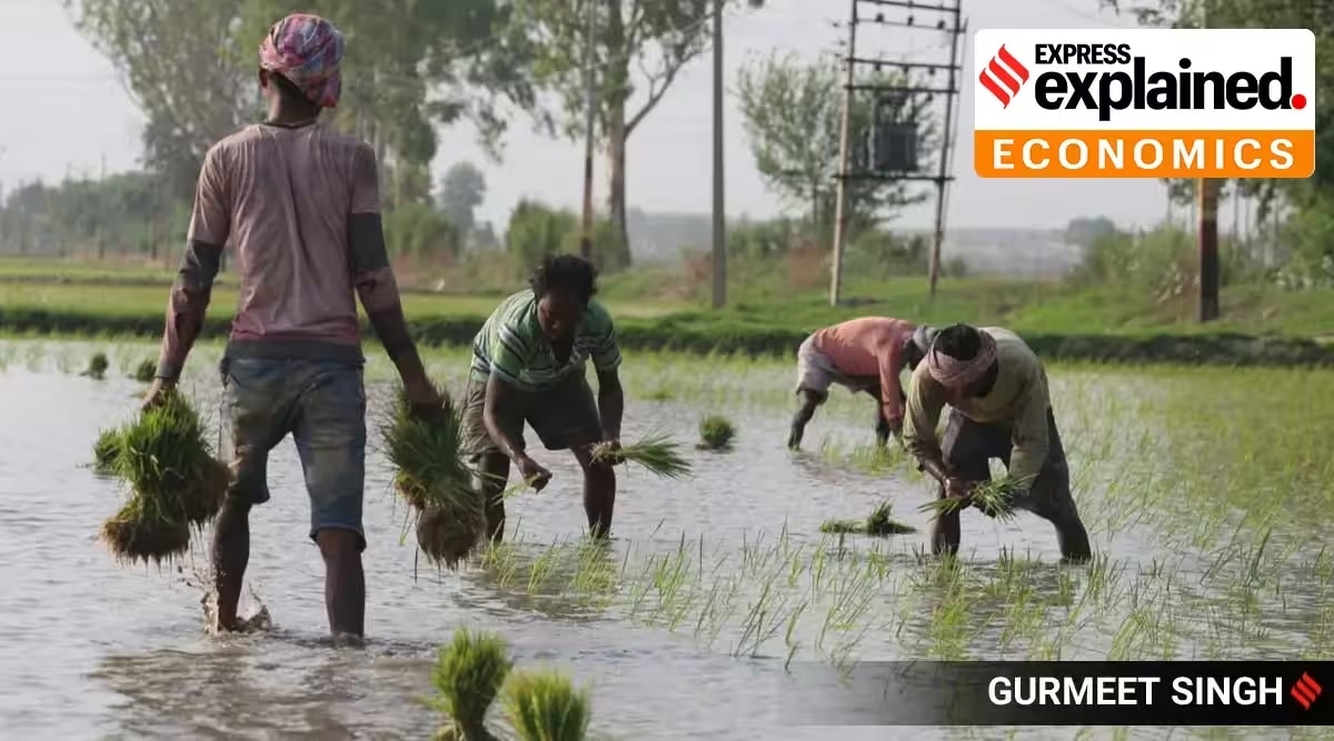 Why farm votes will count in the coming State polls