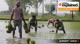 Why farm votes will count in the coming State polls