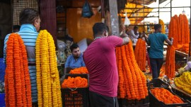 Santosh Kumbharkar, who heads the APMC’s flower market, said, “The price crash has hit loose flowers hard, even as cut flowers, typically bought for decoration, have held relatively steady.