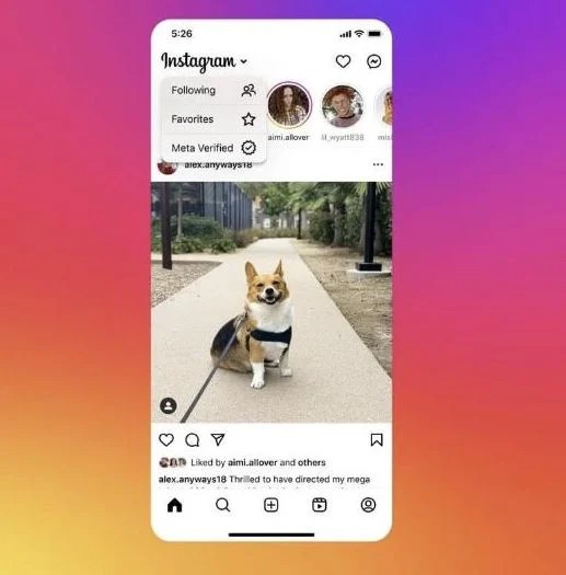 instagram meta verified feed