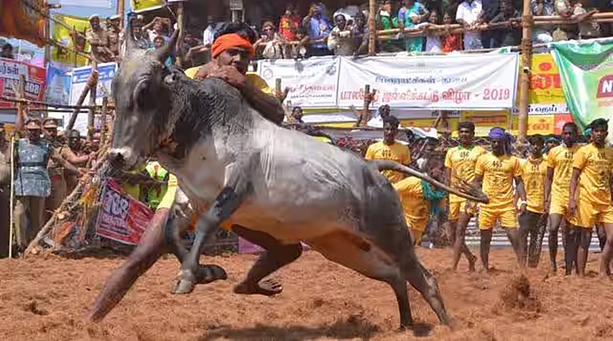 Work for Jallikattu stadium in Madurai to be completed this year