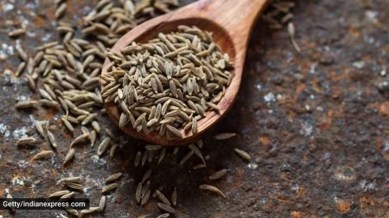 Jeera price rises, Jeera price per quintal, jeera rates, cumin seeds, Gujarat crops, indian express news