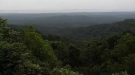 karnataka forest encroachment karnataka forest encroachment