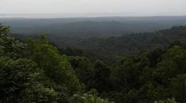 karnataka forest encroachment