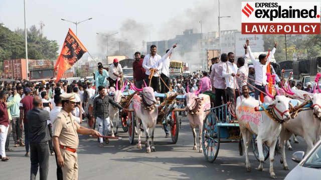 Maratha quota protest