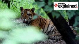 The National Tiger Conservation Authority (NTCA) has made multiple recommendations to the state for a tiger reserve.