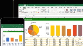 Microsoft Excel