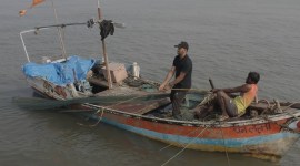 Jio MAMI Film Festival, Mumbai Film Festival, South Asian cinema, South Asian films, director Anupama Chopra, mumbai news, indian expresss