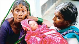 nanded, Nanded district, Nanded newborns die, India news, Indian express, Indian express India news, Indian express India